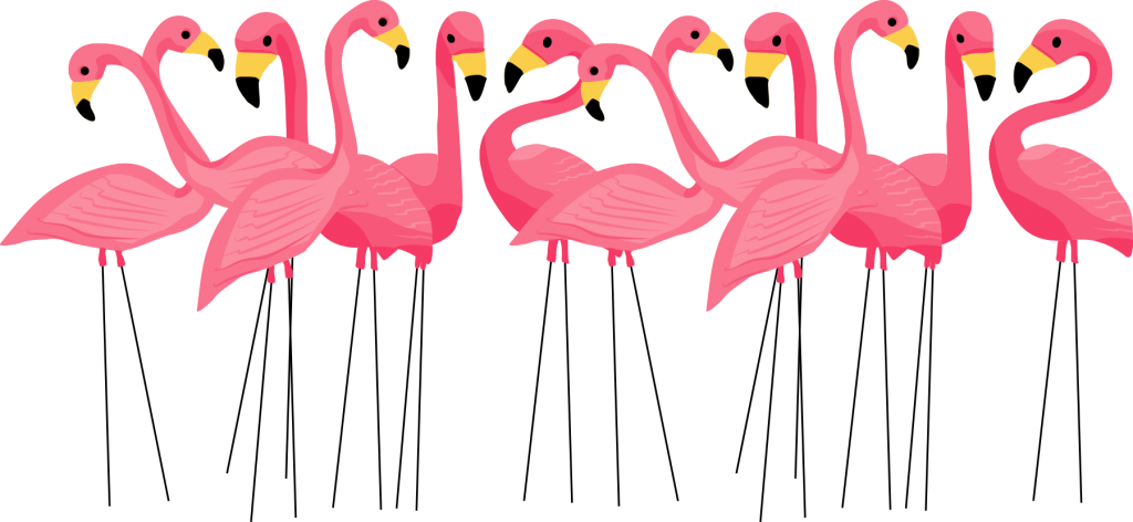kelly jane flamingo flock