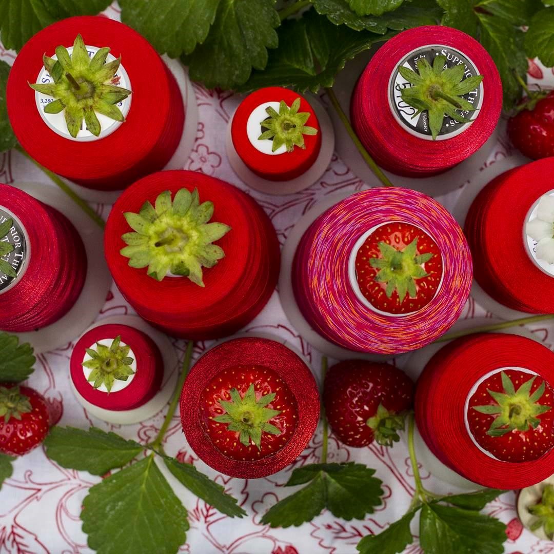 strawberry threads strawberry threads